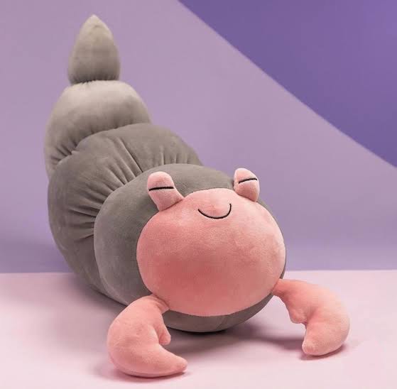 Hermit Crab Plush Toy by Miniso Hobbies Toys Toys Games on Carousell