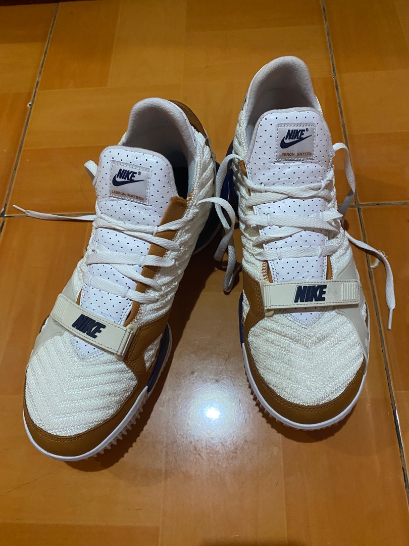 lebron 16 trainer