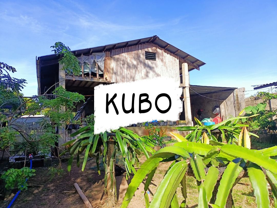 Lemery Batangas near Tagaytay City Residential/ Farm lot with concrete