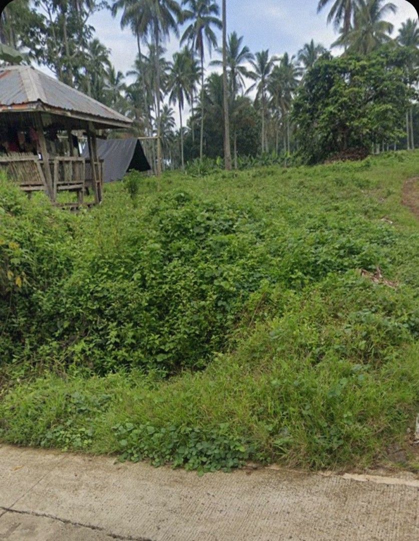 Lot for sale! (Category: Lot) located in Davao. Submitted by rohandy04 (Listing ID 1233577773, Image 1). Description: Rush Sale!!!! 200 sqmtr Lot in Catigan, Toril..