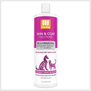 Nootie- Pet Shampoo, 1 Unit 16oz, Japanese Cherry Blossom