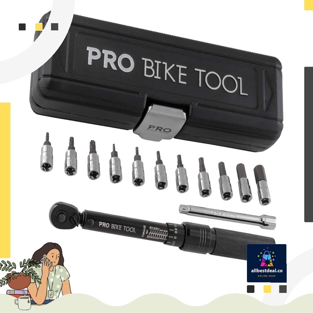 Pro bike tool torque wrench online