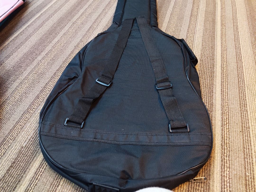 Fishman guitar sales bag