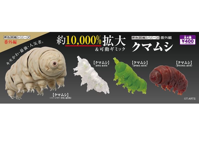 原色図鑑シリーズ番外編 クマムシ [2.クマムシ(透明色 捕食版)][sale230802]