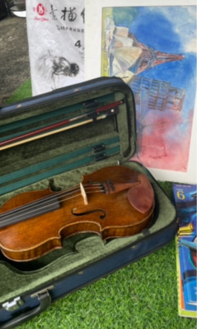 4/4 Acro Brasil violin bow, 興趣及遊戲, 音樂、樂器& 配件, 樂器- Carousell