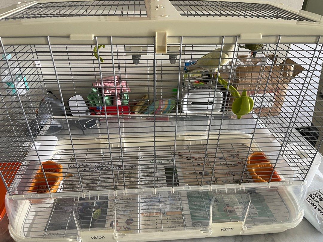 Vision L01 cage, Pet Supplies, Homes & Other Pet Accessories on Carousell