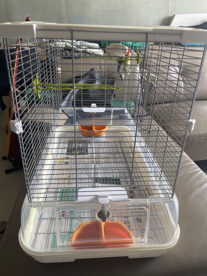 Vision L01 cage, Pet Supplies, Homes & Other Pet Accessories on Carousell