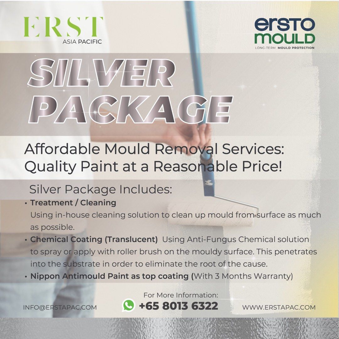 001 MOULDY WALLS & CEILINGS TREATMENT AntiMould Wall & Ceiling