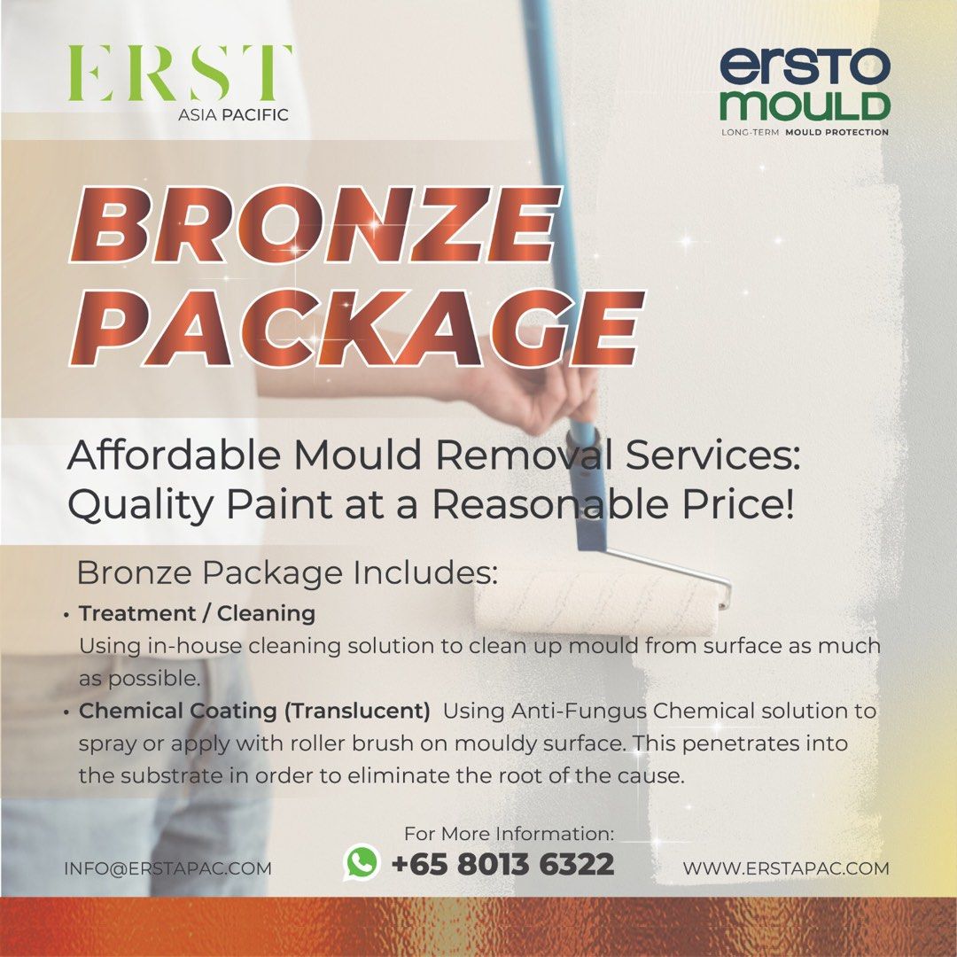 001 MOULDY WALLS & CEILINGS TREATMENT AntiMould Wall & Ceiling