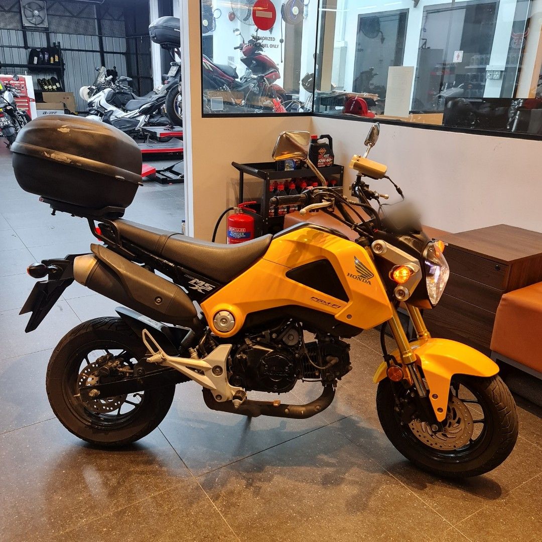 2033 Honda MSX 125 Grom Motorcycles Motorcycles for Sale Class