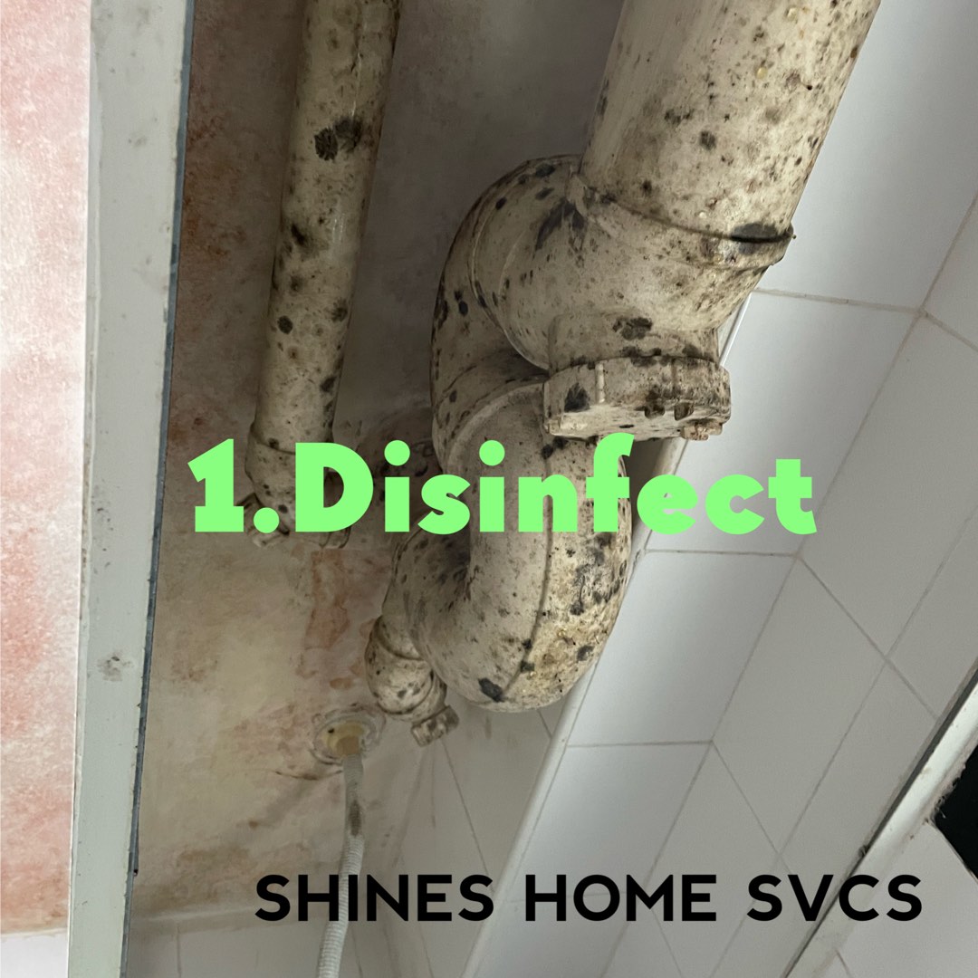(Category: ) located in . Submitted by shines_home_svcs (Listing ID 1233670841, Image 1). Description: .