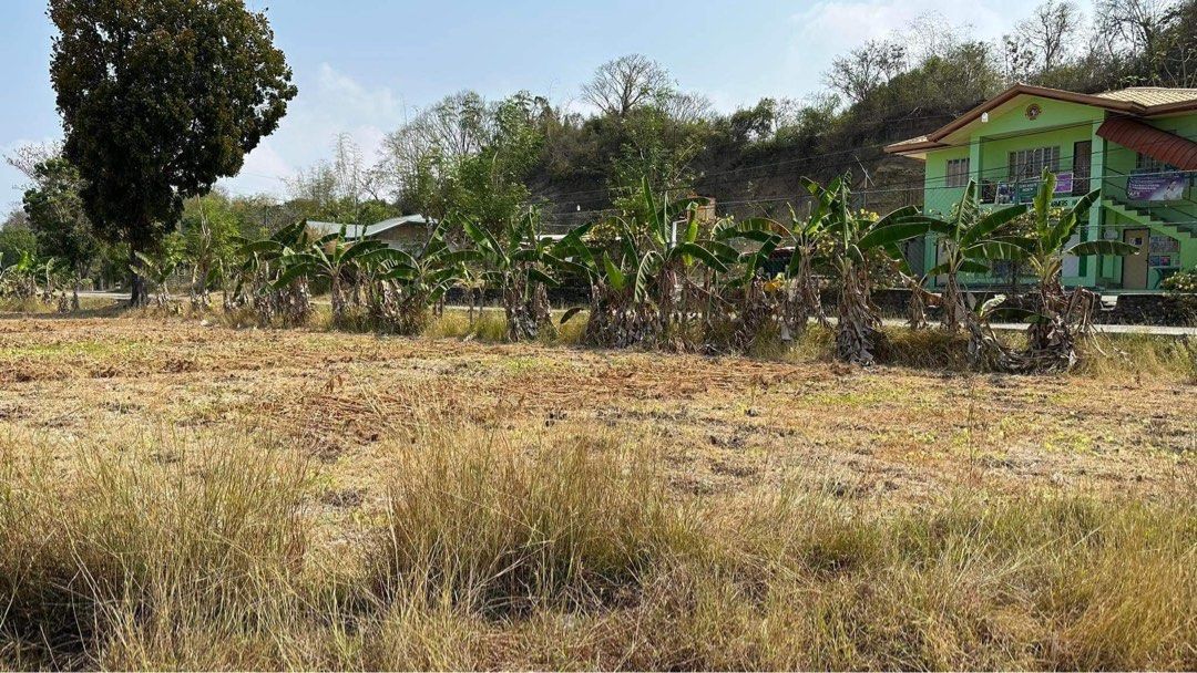 Bacnotan La Union Lot for Sale on Carousell