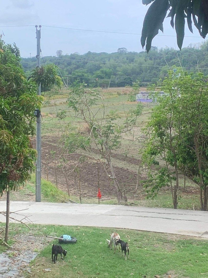Bacnotan La Union Lot for Sale on Carousell