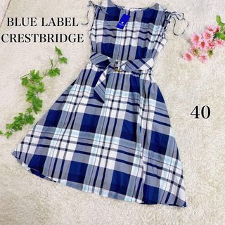 Blue label crestbridge dress rare size 40
