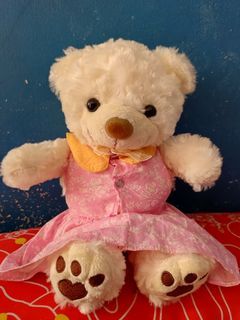 Boneka Teddy kostum