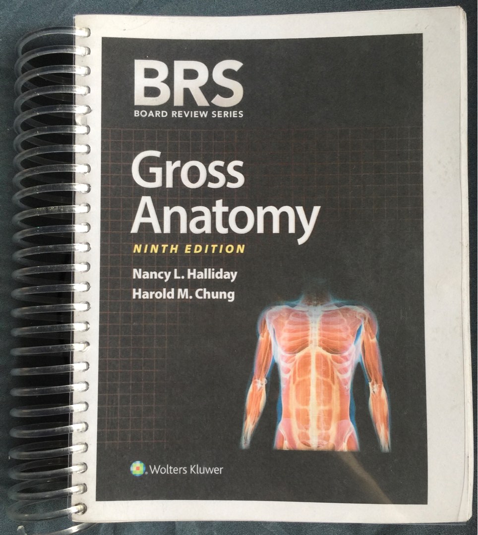 BRS Gross Anatomy 9th edition on Carousell