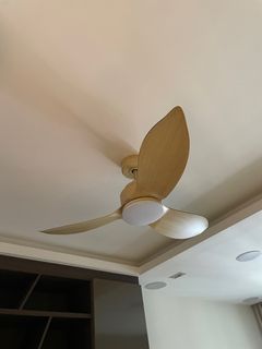 (Category: ) located in . Submitted by psyche (Listing ID 1233842780, Image 1). Description: .