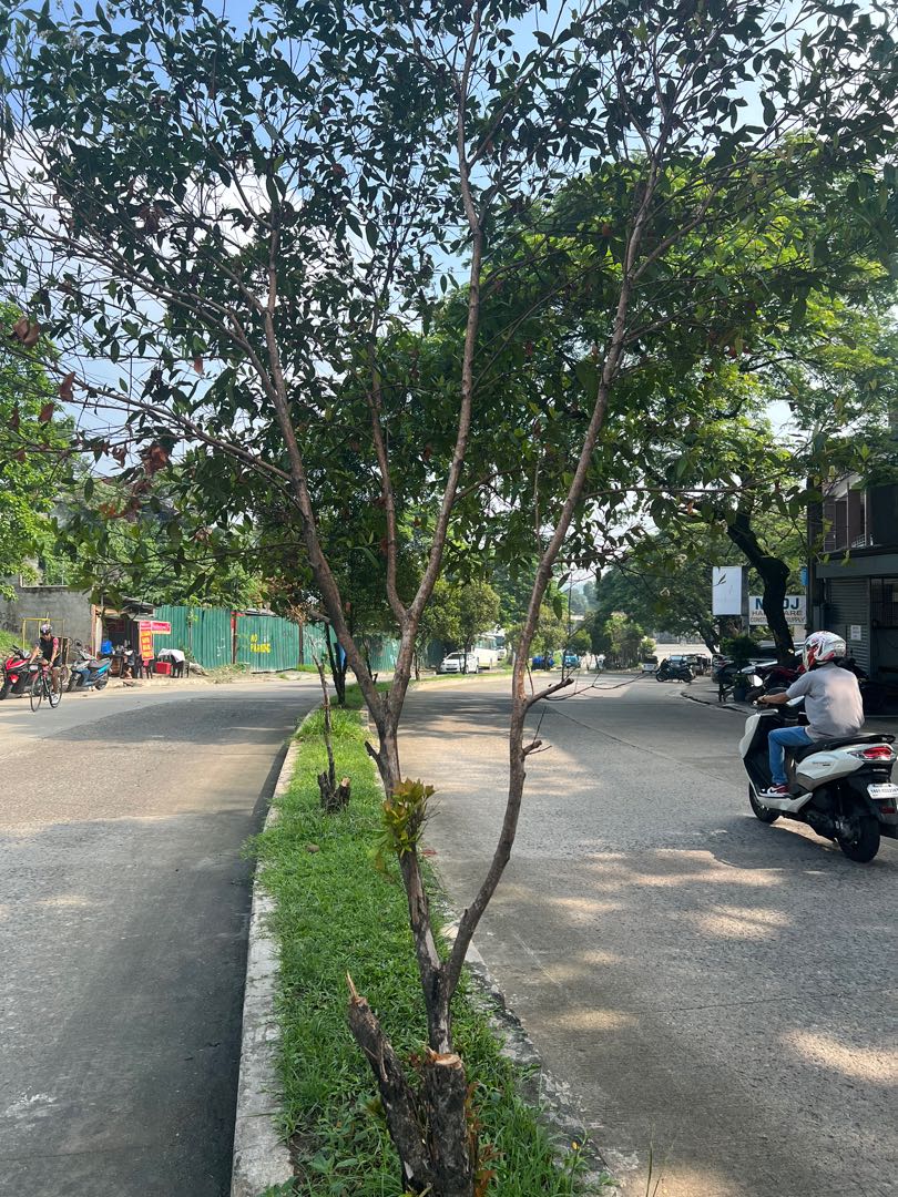 Commercial Lot in Blue Mountains For Sale on Carousell