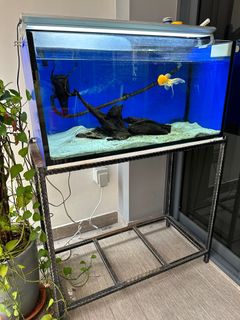 (Category: ) located in . Submitted by pangpang41 (Listing ID 1233286188, Image 1). Description: .