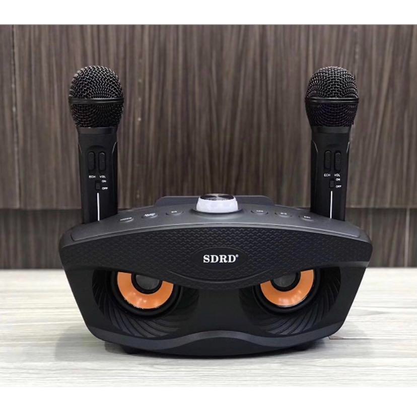 SD306 Dual Wireless Microphone Bluetooth Speaker Mobile Wireless