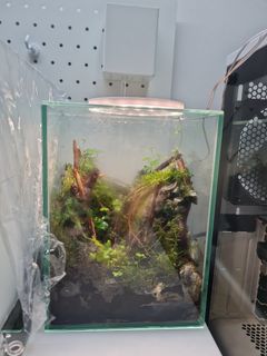 (Category: ) located in . Submitted by evantay2005 (Listing ID 1231425815, Image 1). Description: .