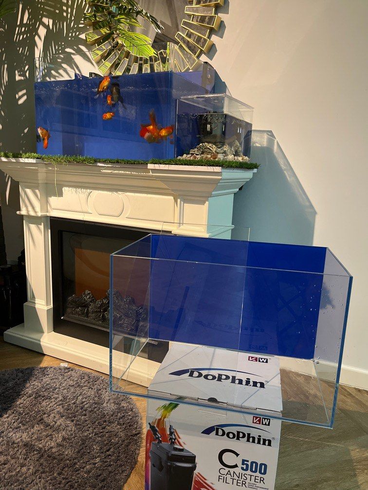 1.5ft Clear Glass Fish Tank, Pet Supplies, Homes & Other Pet