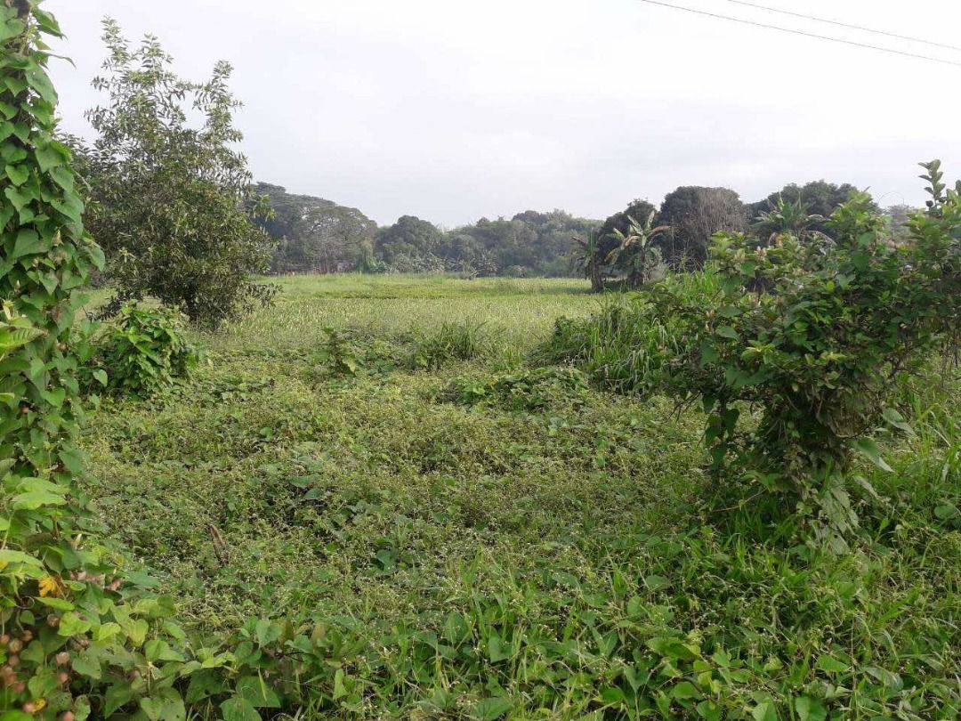 2.1 hectares Raw Land For Sale in Rodriguez (Montalban) Rizal on Carousell