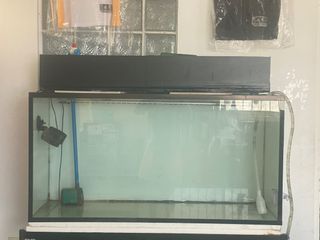 90 gallon tank