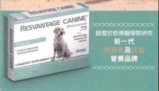 （分類：）位於 。 由 petpetcareshop 提交（商品編號 1234045754，圖片 1）。簡介： 。