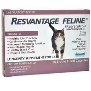 （分類：）位於 。 由 petpetcareshop 提交（商品編號 1234046342，圖片 1）。簡介： 。