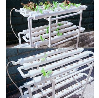 Aquaponic / hydroponic plants set