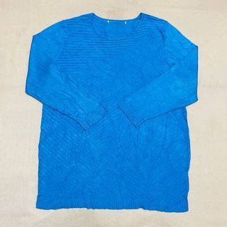 Blue Sweater