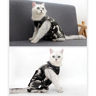 (Category: ) located in . Submitted by corgeshop051337379 (Listing ID 1233974151, Image 1). Description: .