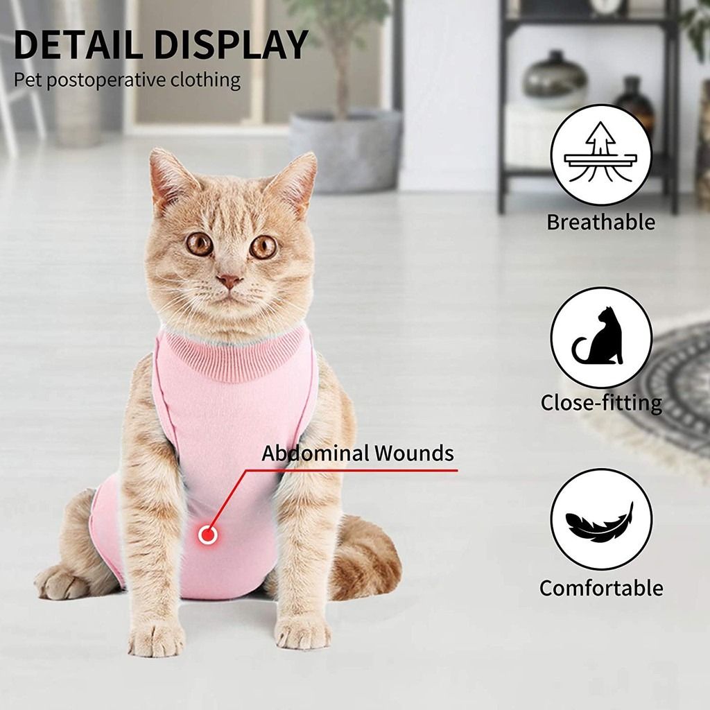 Electronic collar discount for cats