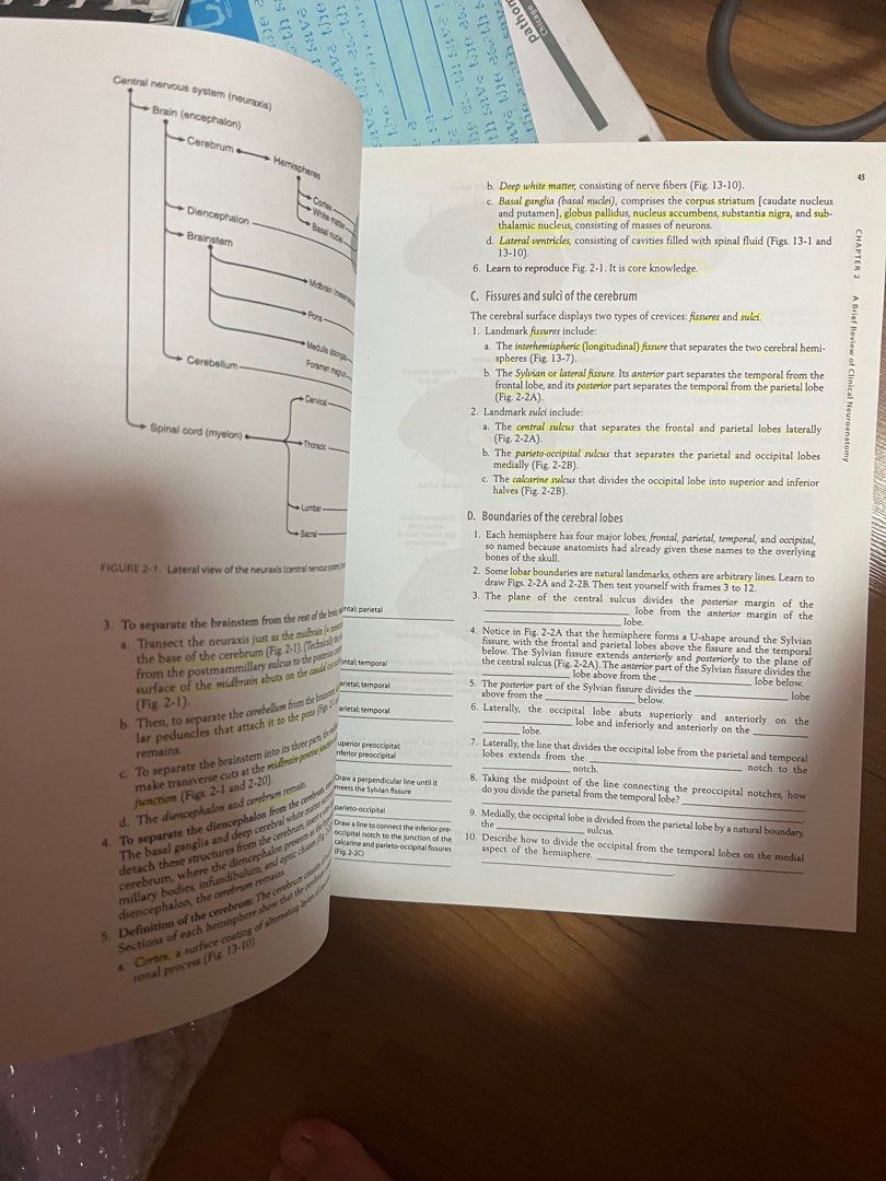 Demyer’s neurological exam textbook (Category: Textbooks) located in Quezon City. Submitted by second___life (Listing ID 1234005483, Image 3). Description: a copy of demyer’s neurological exam textbook very few highlights (as seen in the pics) Cover in good condition Barely used (and read LOL) shipping to be shouldered by the buyer.