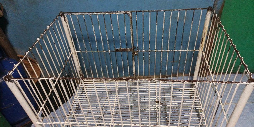 Dog cage crib type, Pet Supplies, Homes & Other Pet Accessories on