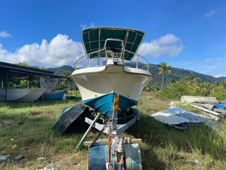 Affordable boat For Sale, Fishing