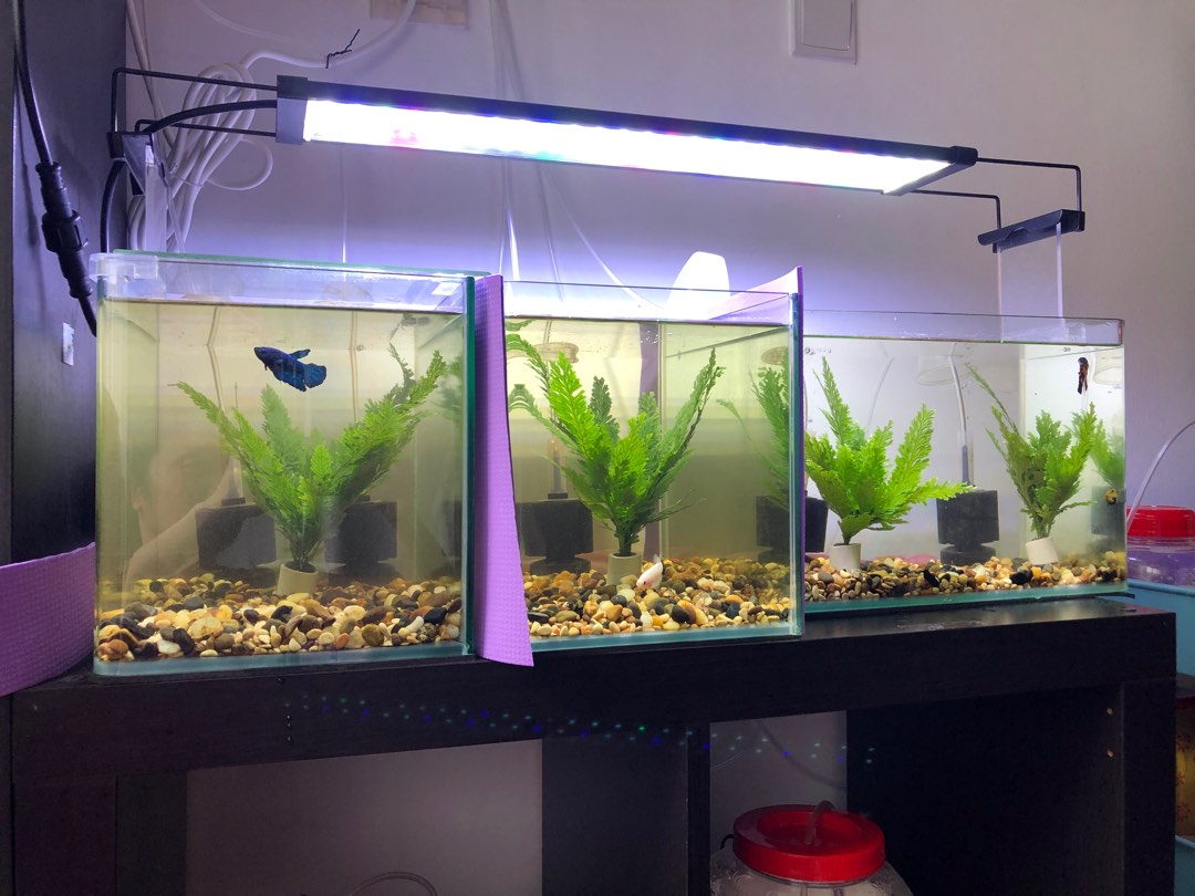 Fish tank light 90cm, Pet Supplies, Homes & Other Pet Accessories on Carousell