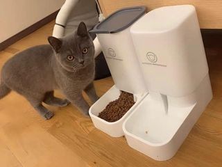 (Category: ) located in . Submitted by catwarehouse (Listing ID 1234043962, Image 1). Description: .