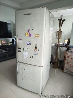 Free Fisher Paykel Fridge