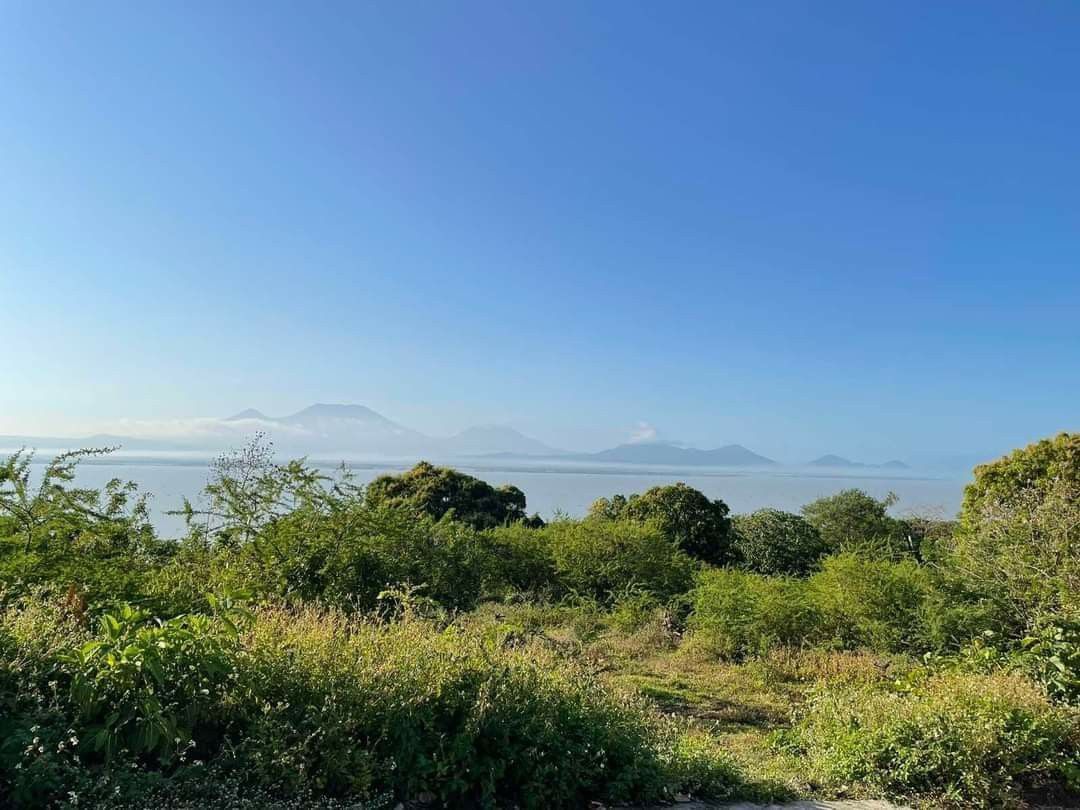 Lot in jala jala on Carousell