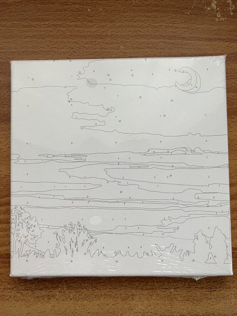 Paint by the numbers on Carousell