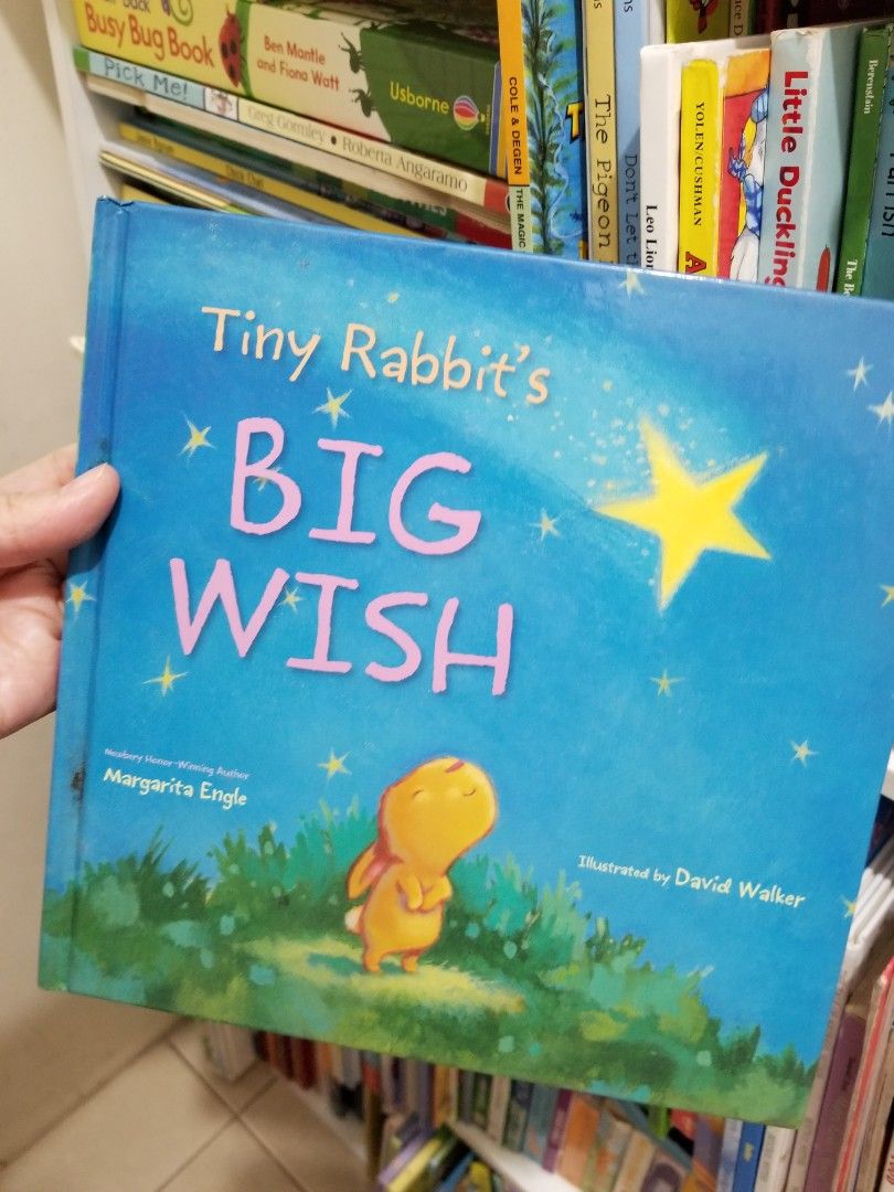 Tiny Rabbit's Big Wish Children's Book on Carousell