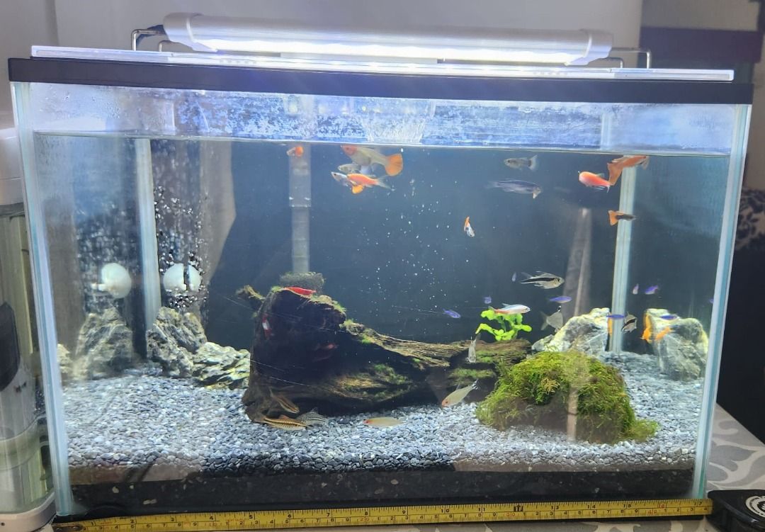 1.5 feet deals in cm