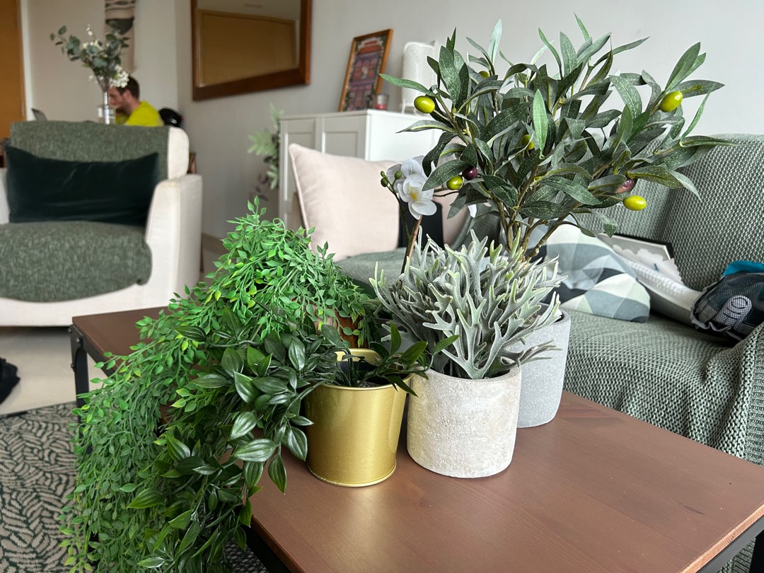 5 indoor fake plants, Furniture & Home Living, Home Decor, Artificial