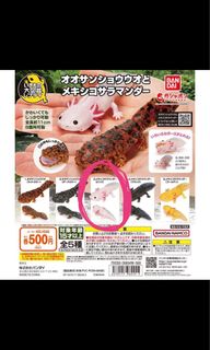 （分類：）位於 。 由 nathanlee2374 提交（商品編號 1234202209，圖片 1）。簡介： 。