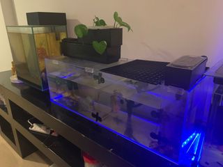 (Category: ) located in . Submitted by r008353h (Listing ID 1234194361, Image 1). Description: .