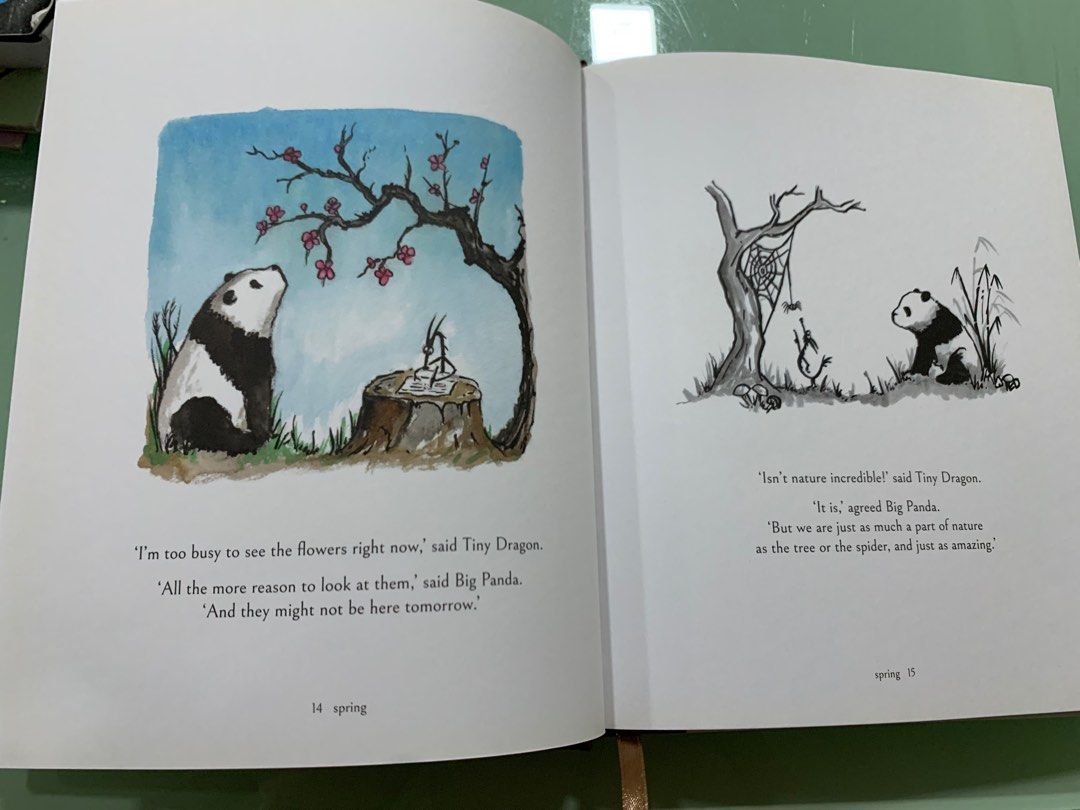 James Norbury Big panda and tiny dragon book, Hobbies & Toys, Books