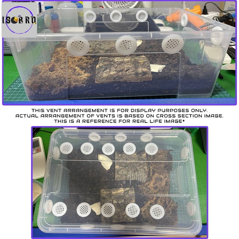 Custom Made Habitat Tank Setup Starter Kit with Vents — (For Isopod