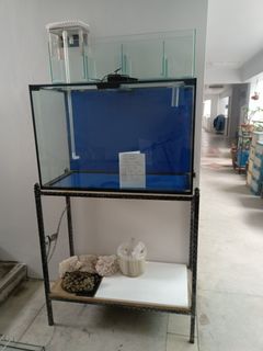 (Category: ) located in . Submitted by hwee_teck (Listing ID 1233138121, Image 1). Description: .